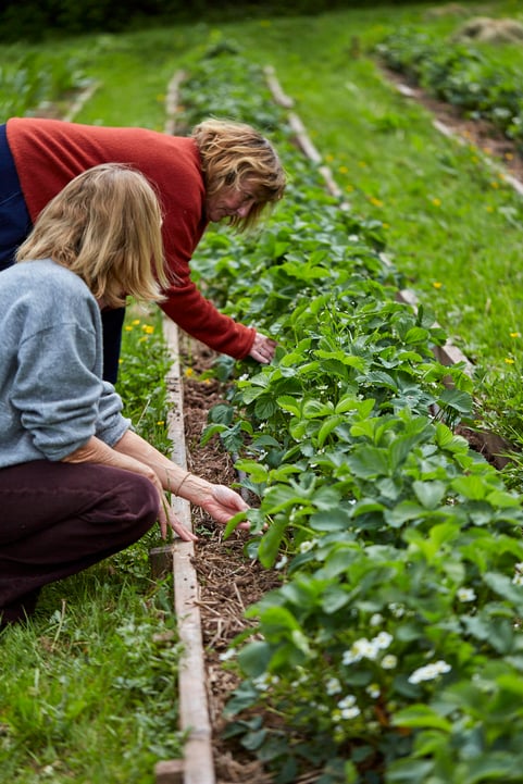 Copy of 220509_Spring_056