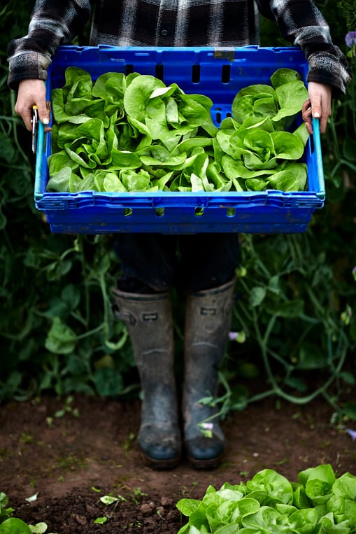 Copy of 220509_Spring_840